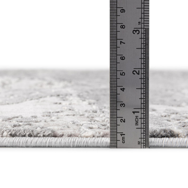 Tapis contemporain gris / beige Ainsley-Junior, Rectangle 3 pi 3 po x 5 pi 3 po