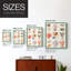 «Coral & Shell Collage I», reproduction encadrée - bois massif-268949224-268949225