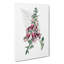 Foxglove Flowers Illustration - Wrapped Canvas Painting-55363914