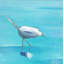 Egret 1 Print by Phyllis Adams