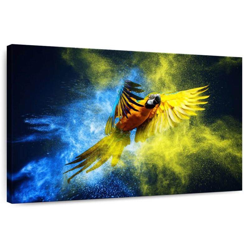 Brampt Striking Macaw, 24" H x 36" W