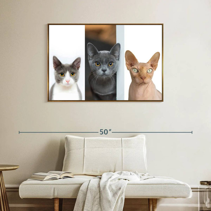 Staring Cats, Cadre flottant doré, 40 po x 27 po