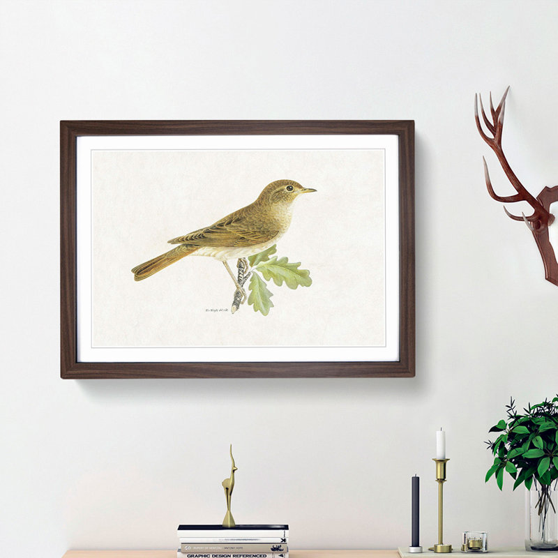 Thrush Nightingale Bird by Von Wright - Picture Frame Painting Print, 48cm H x 65cm W x 2cm D, Walnut Framed