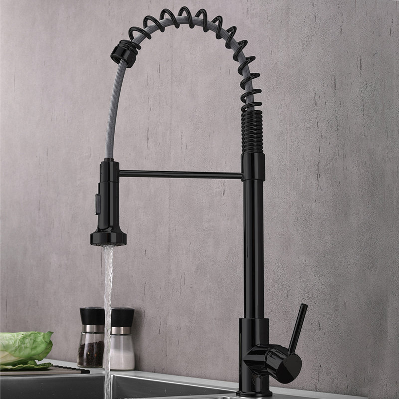 LITTLE TREE Pull Out Kitchen Faucet