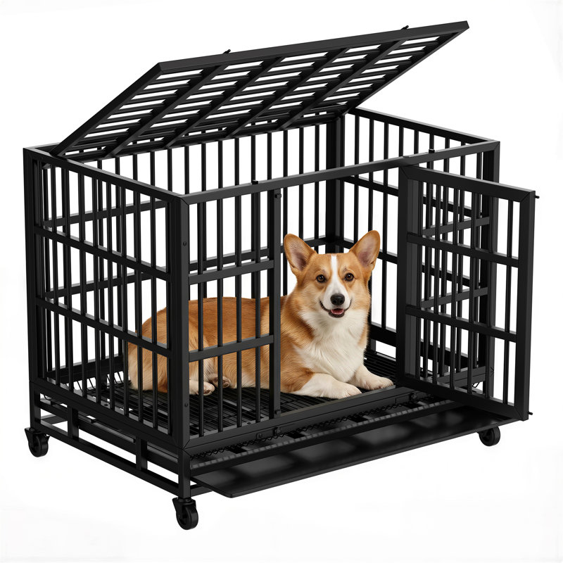 Cage pour chien robuste Stratford, H 30,7 po x l 36,2 po x P 25,5 po