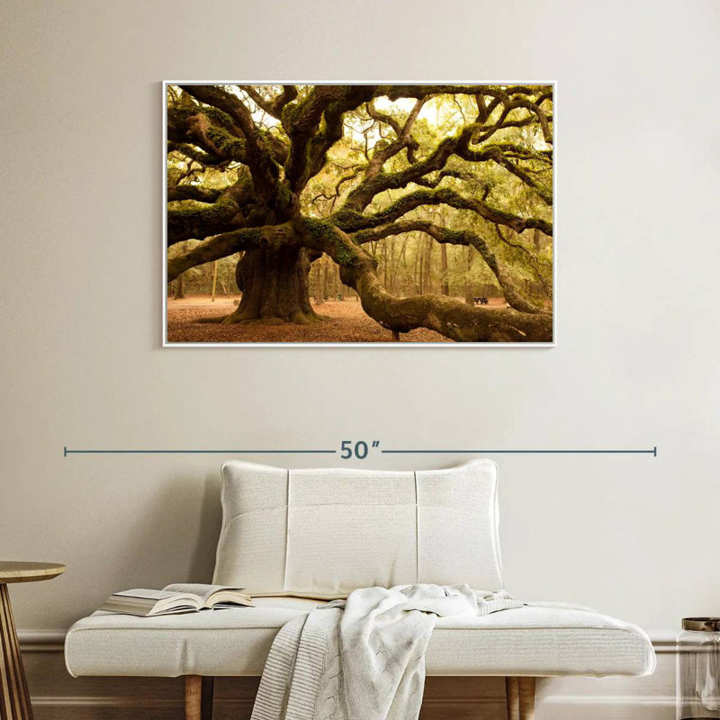 Chêne antique moussu, Cadre flottant blanc, 40 po x 27 po
