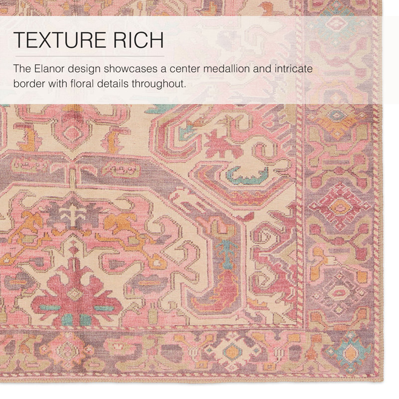 Framboise Washable Oriental Indoor Rug, Runner 3' x 8'