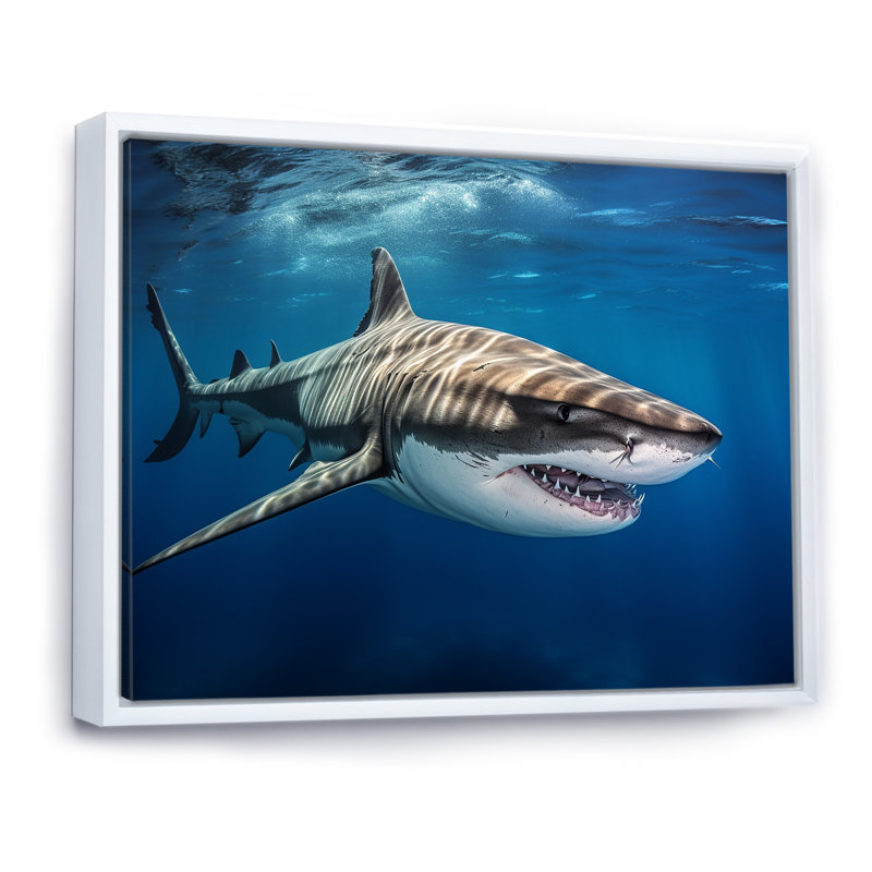 «Tiger Shark Territory I» sur toile, H 16 po x l 32 po x P 1 po, Cadre flottant blanc