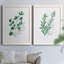 Freshly Picked I - Ensemble de 2 peintures sur toile encadrées-1667209257-1667209259