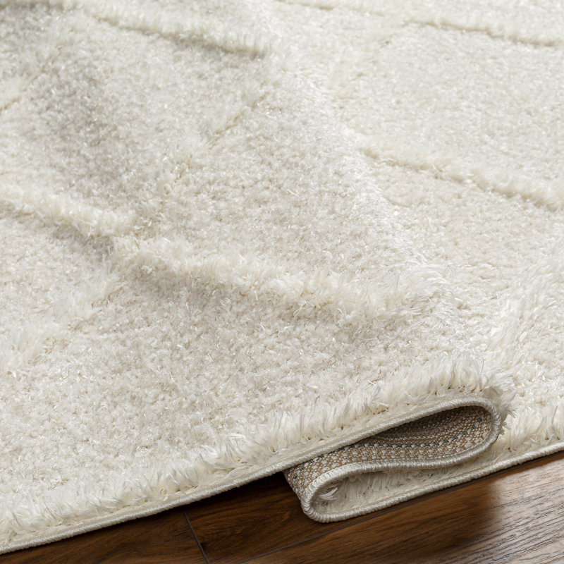 Weccacoe Indoor Rug, Rectangle 5'3" x 7'