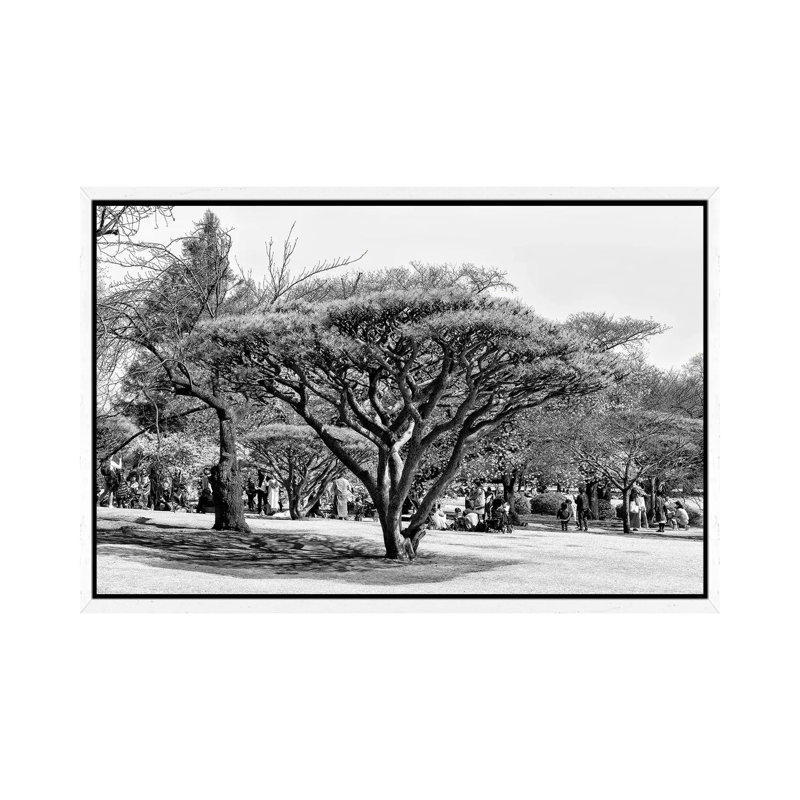 Japanese Tree by Philippe Hugonnard - Floater Frame Gallery-Wrapped Canvas Giclée on Canvas, White Framed