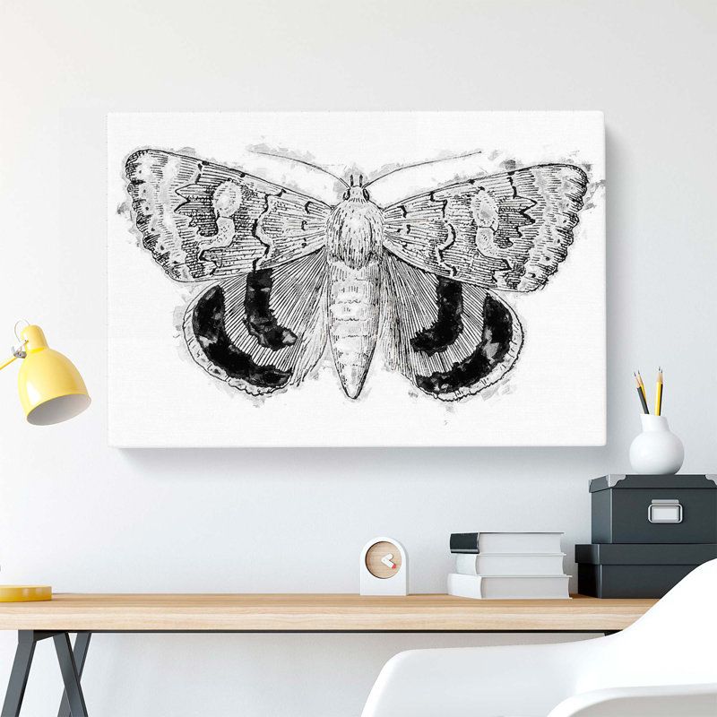 Sleepy Underwing Moth by S.F. Denton - Wrapped Canvas, 35cm H x 50cm W x 3cm D
