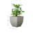 Vinesha ECOBO Eco-Friendly Planter Indoor/Outdoor Planter for Flowers & Plants Contemporary All-Weather-88977512-88977514-93820041