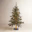 Dakota Lighted Artificial Pine Christmas Tree-1341506678