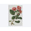 «Floral Gems I» par Vision Studio, reproduction d'impression sur toile tendue-27889647-72509455-72509461