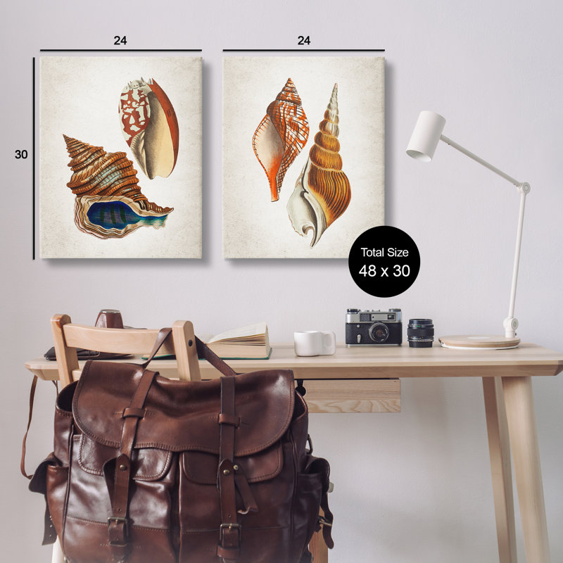 «Twin Shells Motifs», ensemble de 2 toiles murales, design par Kim Allen, H 24 po x l 60 po