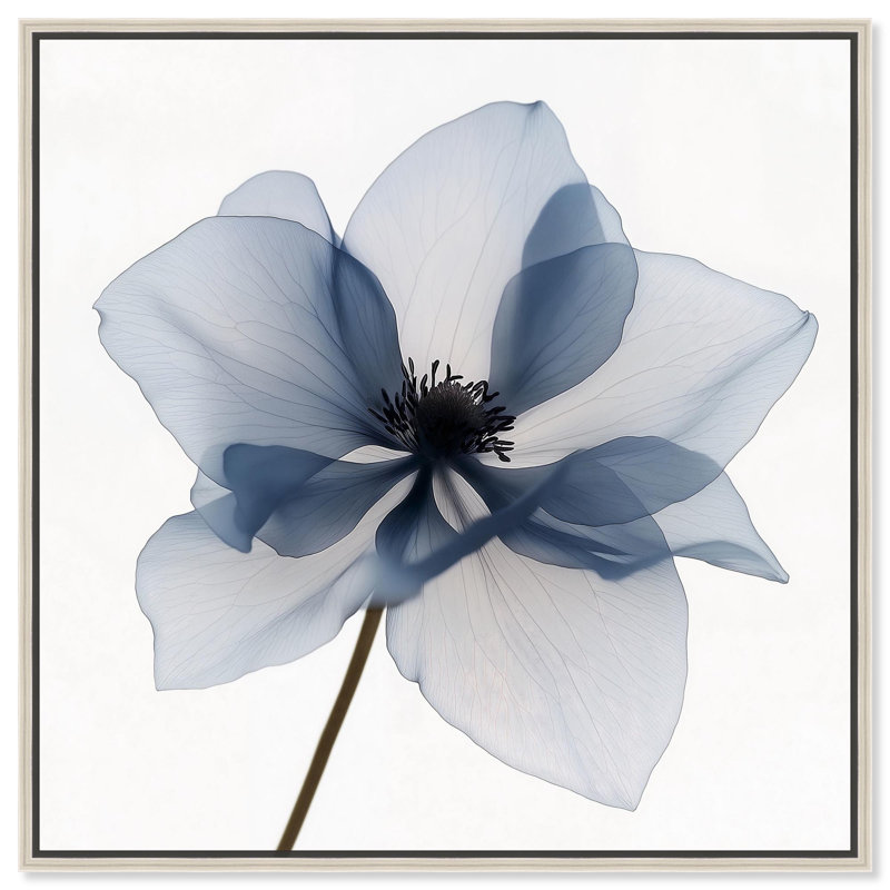 Art floral bleu sur toile Morning Petalia II par , H 13 po x l 13 po, Cadre flottant, Blanc