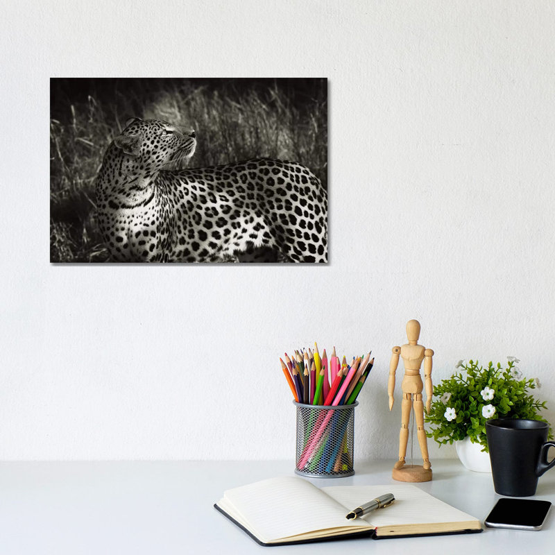 B&W Leopard At Rest by Klaus Tiedge - Wrapped Canvas Print, 20.32 cm H x 30.48 cm W