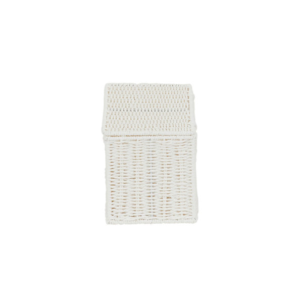 Household Essentials Paper Rope Wicker Box & Reviews | Wayfair