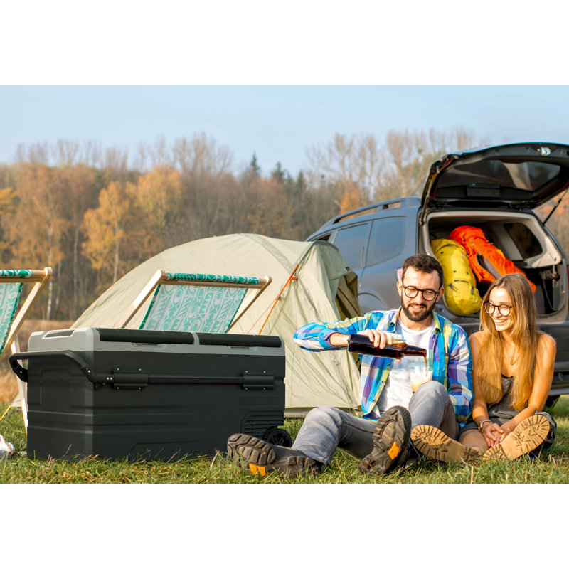 Dellonda 0.095m³ L Mini Fridge