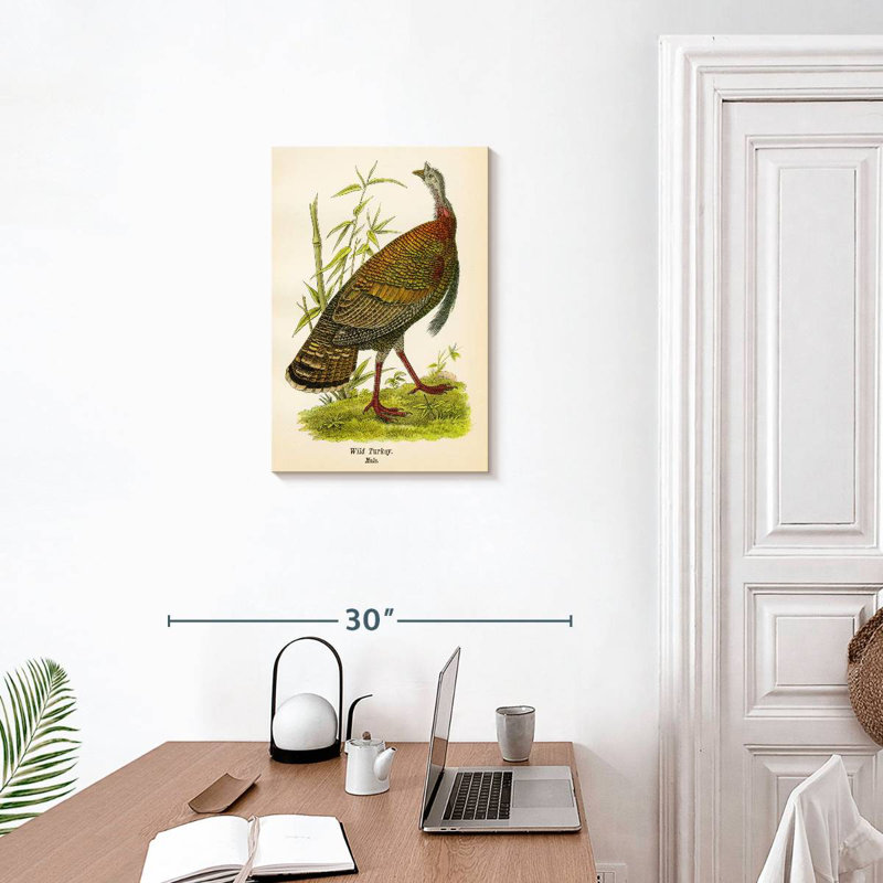 Brampt Wild Turkey Lithograph, 24" H x 16" W