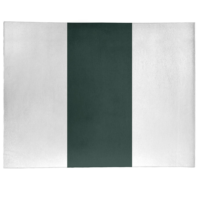 Chenille Indoor Rug, Rectangle 9' x 12'