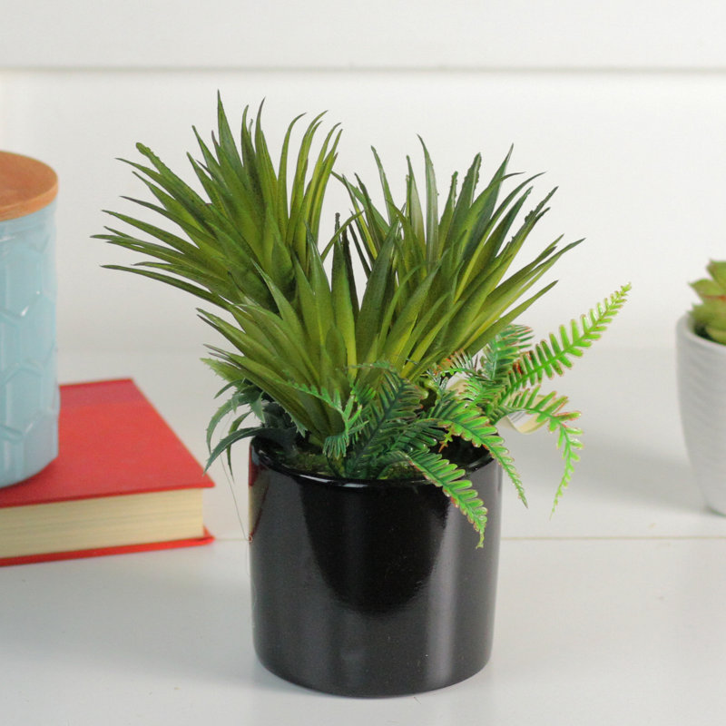 Arrangement de plantes grasses artificielles en pot 9,75 po