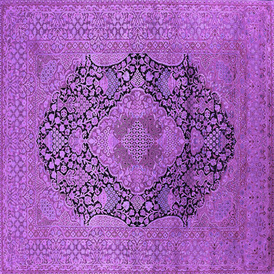 Oriental Indoor Rug