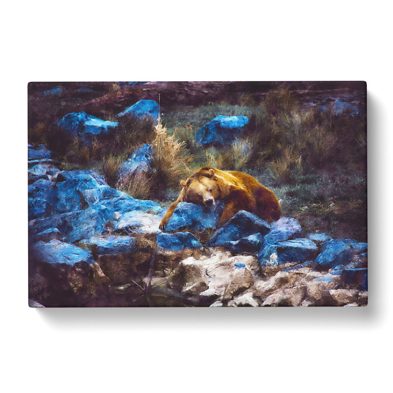 Resting Grizzly Bear - Wrapped Canvas, 35cm H x 50cm W x 3cm D