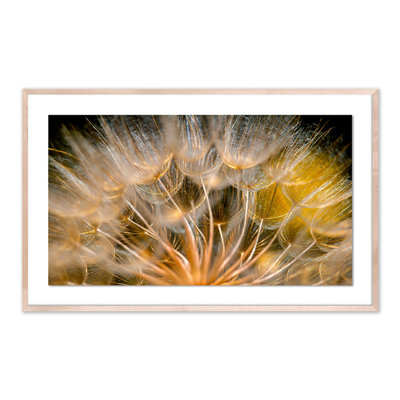 « float away » par geoffrey baris-cadre photo, impression sur papier
