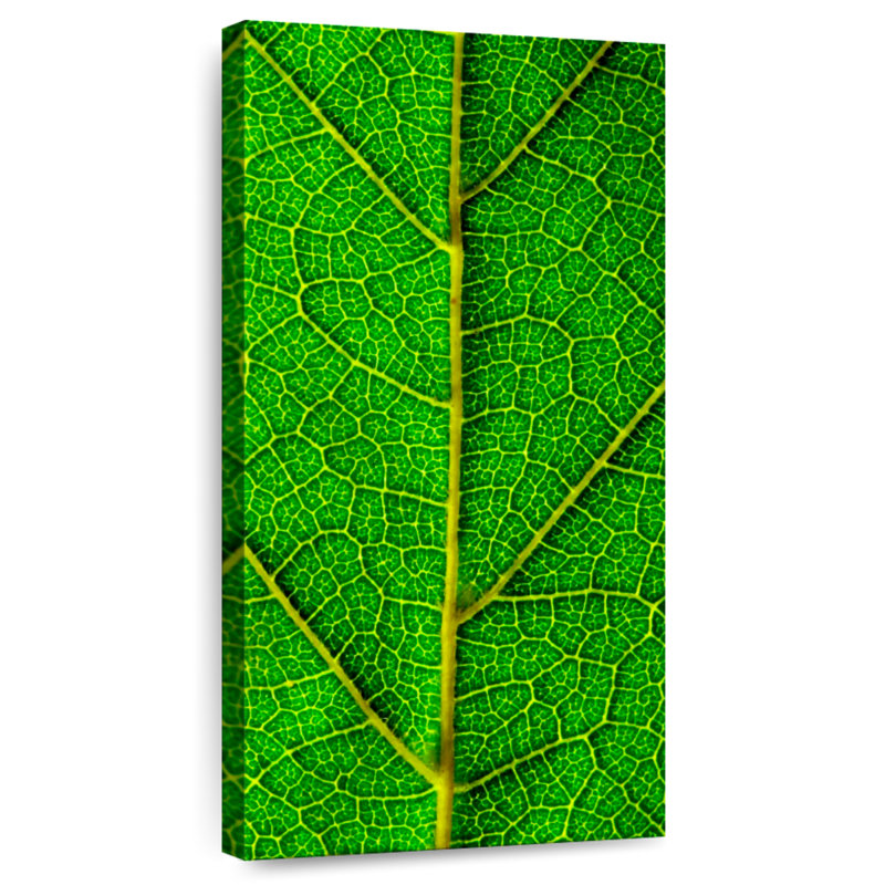 Feuille verte, H 42 po x l 21 po
