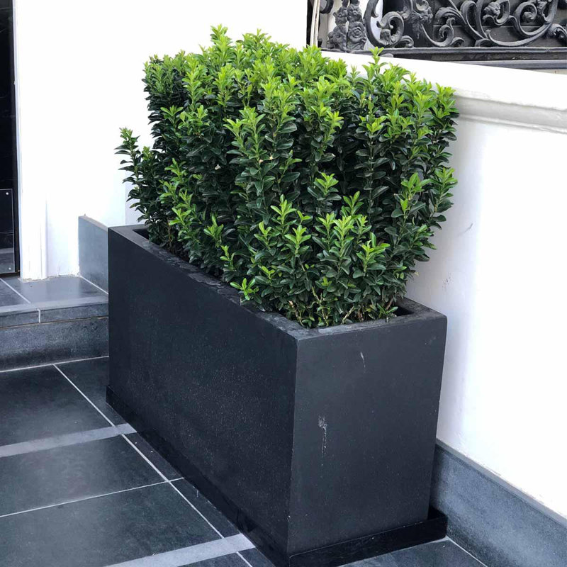 Frostproof, Concrete Effect Garden Planter Pot with Drainage Holes, Dark Grey, 30cm H x 60cm W x 30cm D