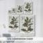 Toile tendue Silver Cottage-165539777
