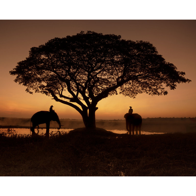 Wrapped Canvas Print, 81.28 cm H x 121.92 cm W