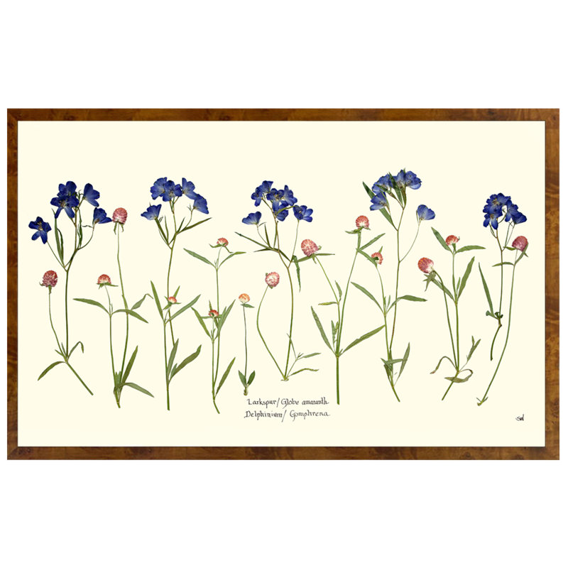 Plants & Flowers Print