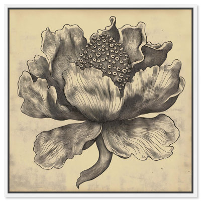 Sea Ebbing Flora Canvas Vintage Botanic Art by Art Remedy