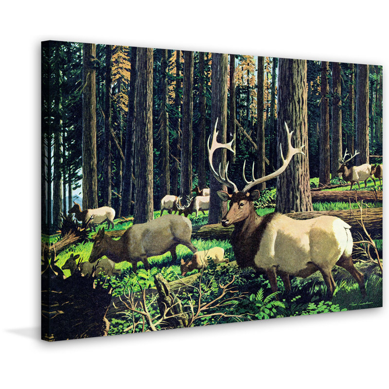 Rustic Elk Herd Canvas Print in Forest Setting, 40" x 60"