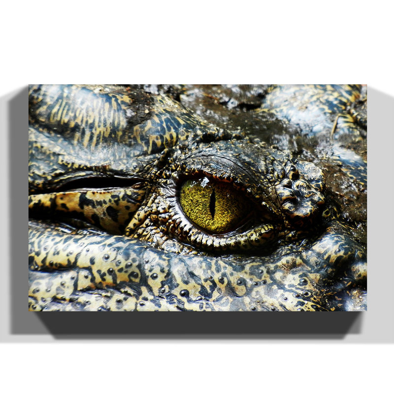 Wrapped Canvas Print, 70cm H x 100cm W