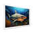 White Single Picture Framed