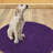 Virginio Non-Slip Bath Rug-1656356544