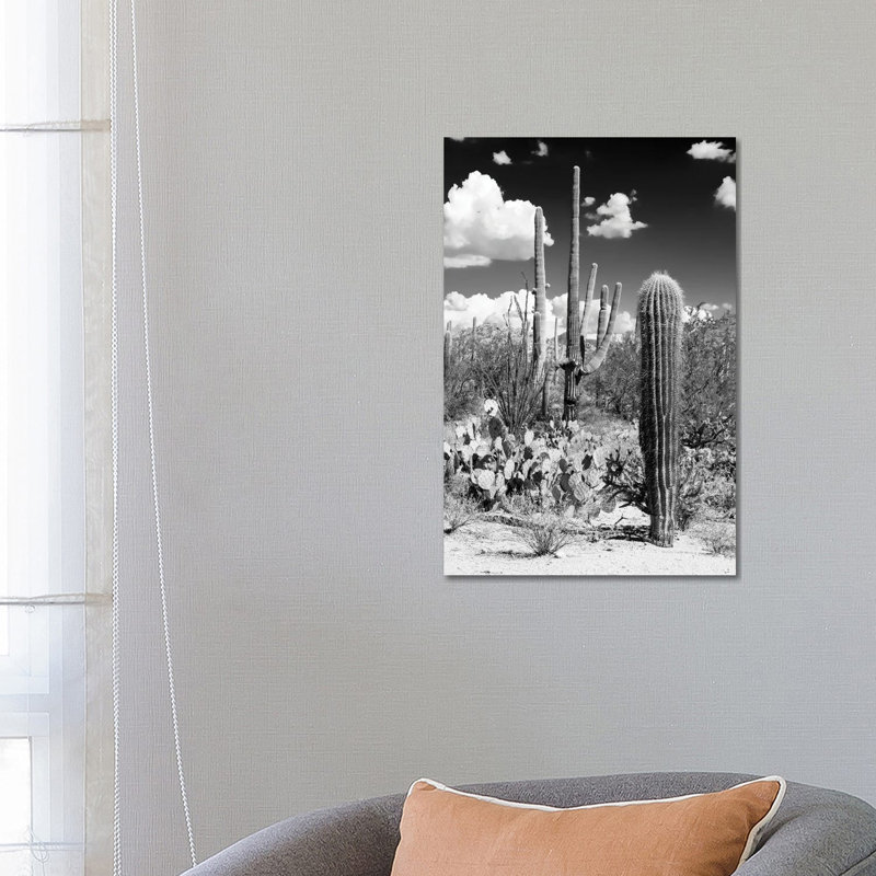 Cactus Desert - Wrapped Canvas Print, 66.04 cm H x 45.72 cm W x 1.91 cm D
