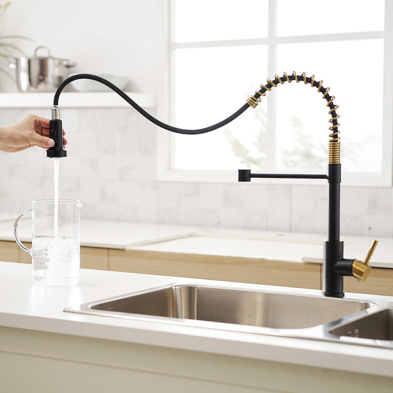 Robinet de cuisine moderne avec structure coulissante rétractable, utilisation polyvalente de l'eau avec douchette rétractable en nickel noir doré, angle de sortie flexible