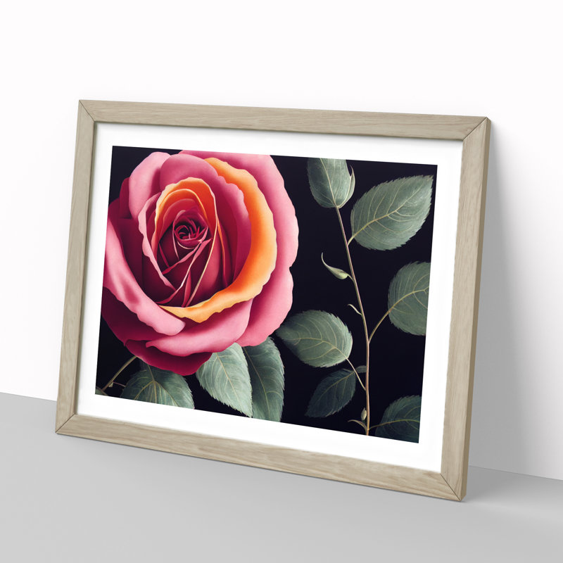 Beaming Rose Flower - Framed Print, Oak, 46cm H x 64cm W x 2cm D