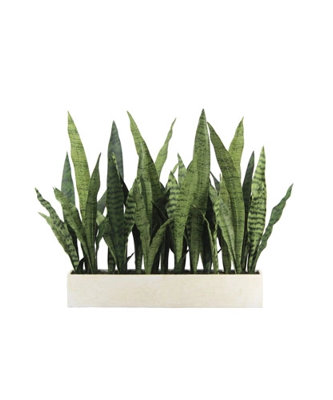 27" Potted Snake Plant - Natural