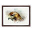 Hawk in Abstract - Picture Frame Graphic Art Print-55737938-55737945