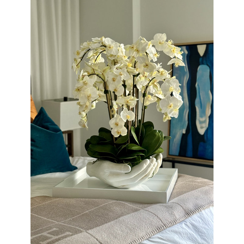 Orchid Floral Arrangement in Vase, White