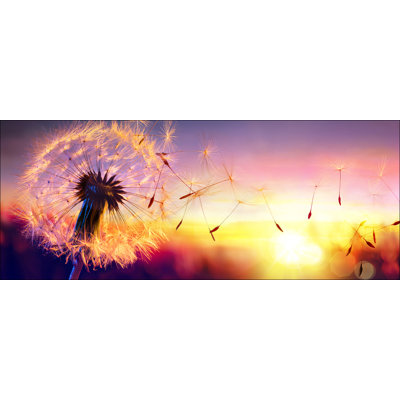 Dandelion - No Frame Print on Glass