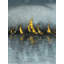 «Set Sail», reproduction sur toile