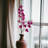 Silk Fir Arrangement