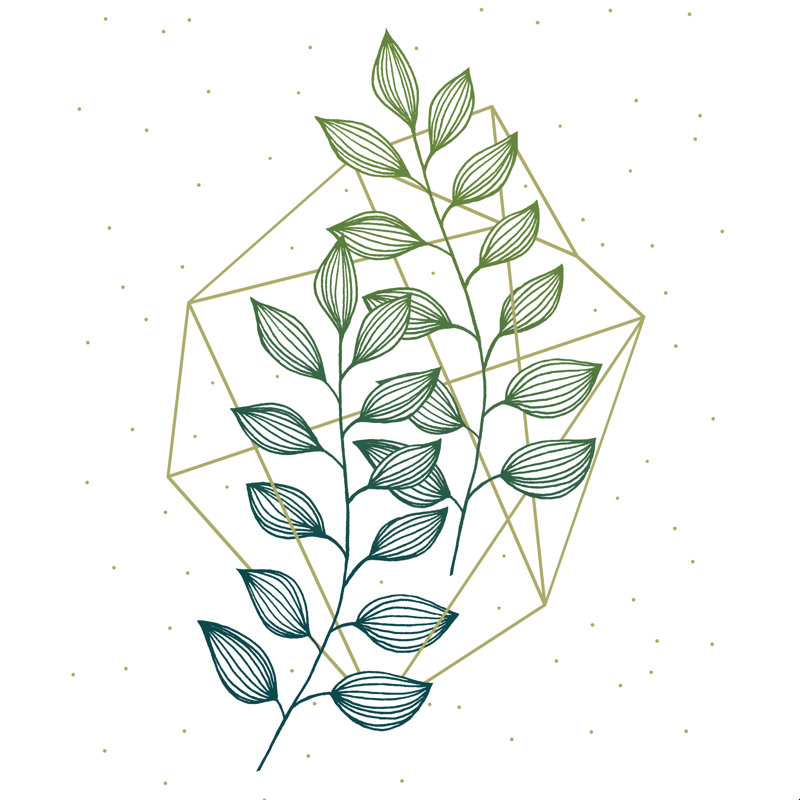«Geometric and Nature III» par Barbara Hollaus - reproduction imprimée, H 36 po x l 36 po, Non, Cadre simple argenté
